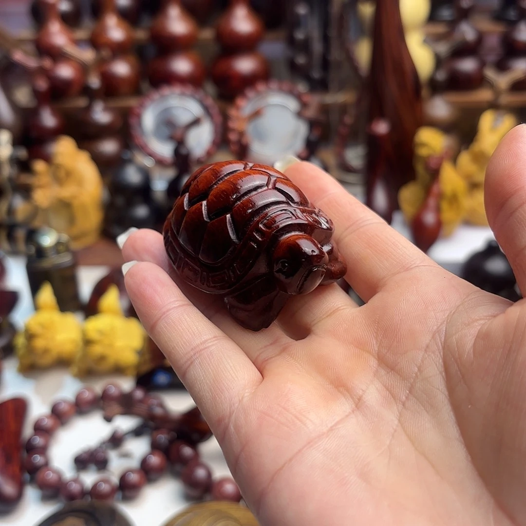 阳***露木东非小叶小叶小叶小叶