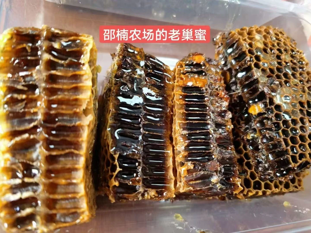 邵楠农场蜂巢蜜~~老巢蜜