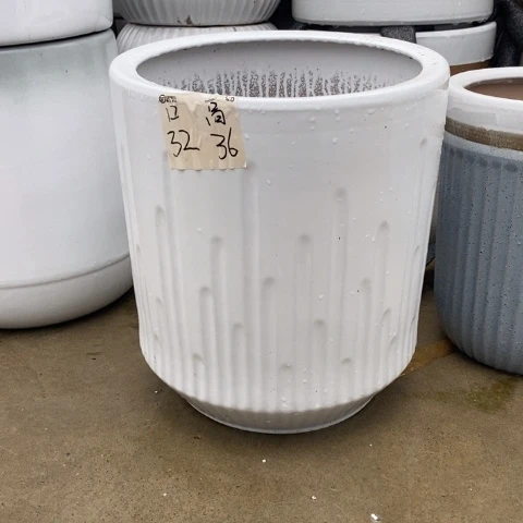 低腰白音符大号 口32/36
