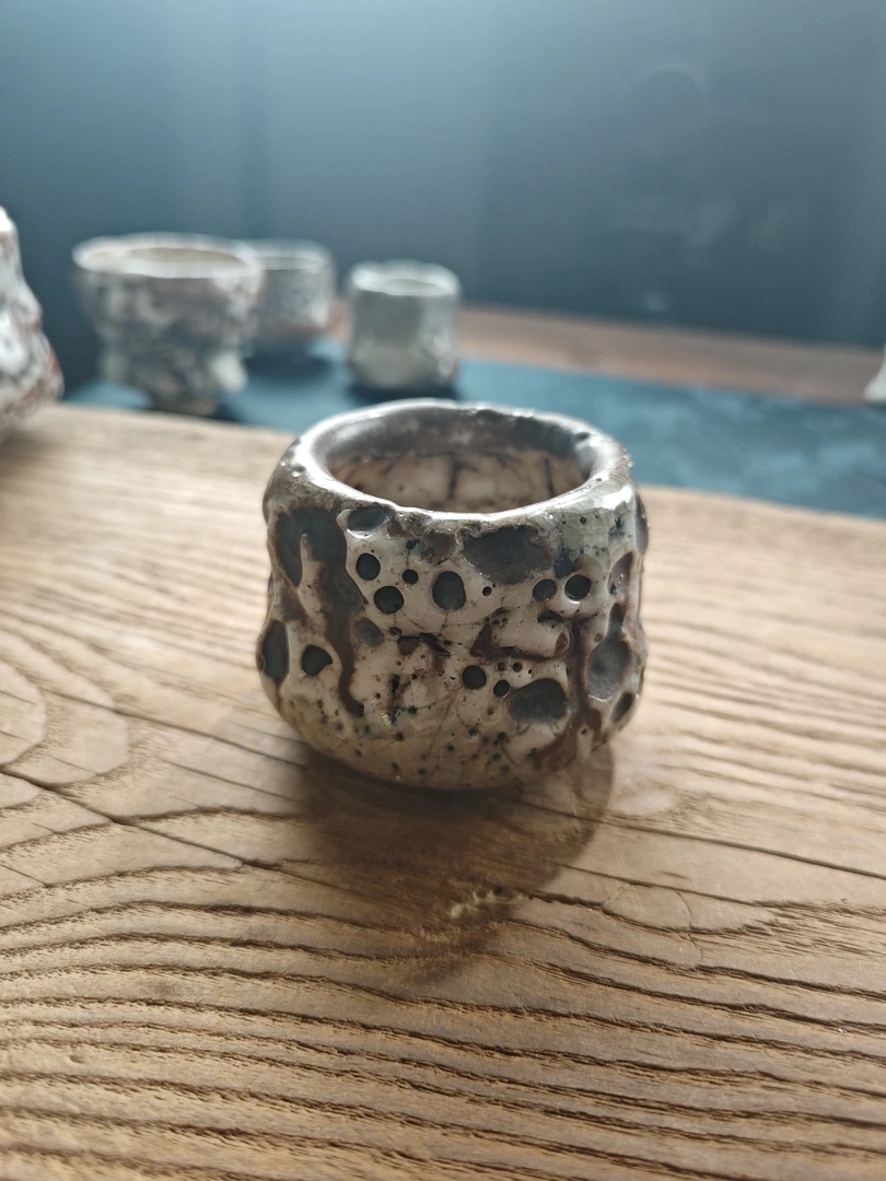 柴烧金彩虫洞志野杯