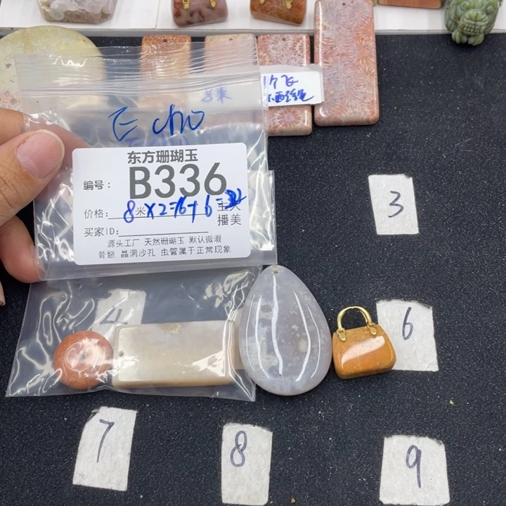 硅化珊瑚（珊瑚玉）颈饰合金E***。