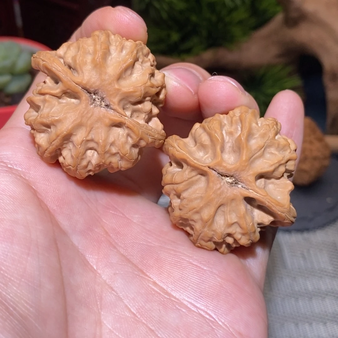 虹***°41尺 全品无修 白茬 梨木台