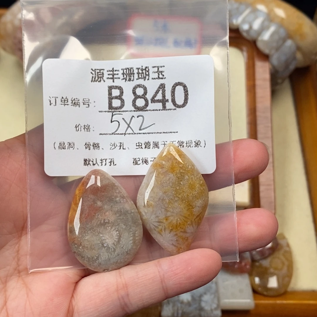 泥***家未镶嵌颈饰硅化玉