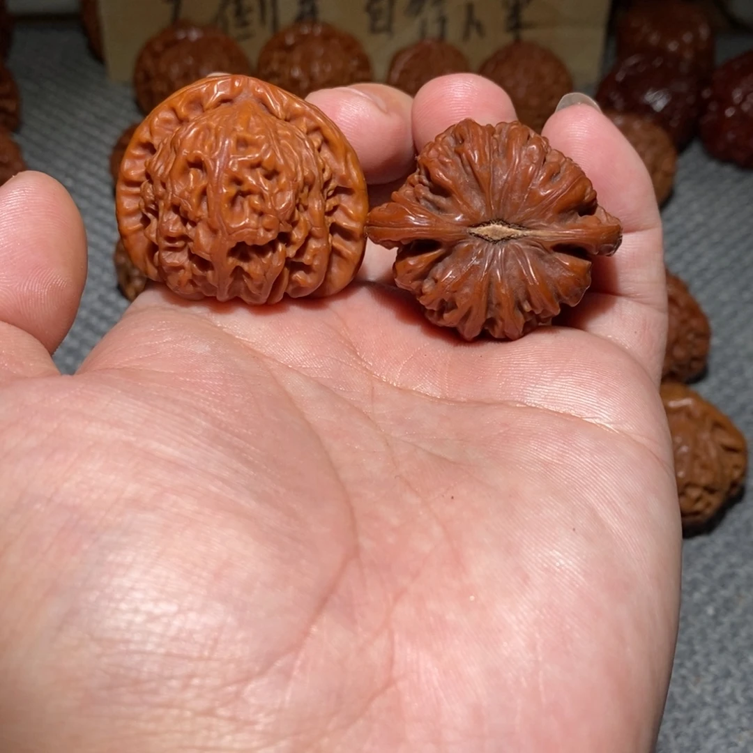 文玩核桃把件白狮子三角白39.35.33