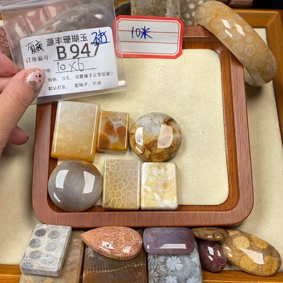 夏***铭未镶嵌颈饰硅化玉