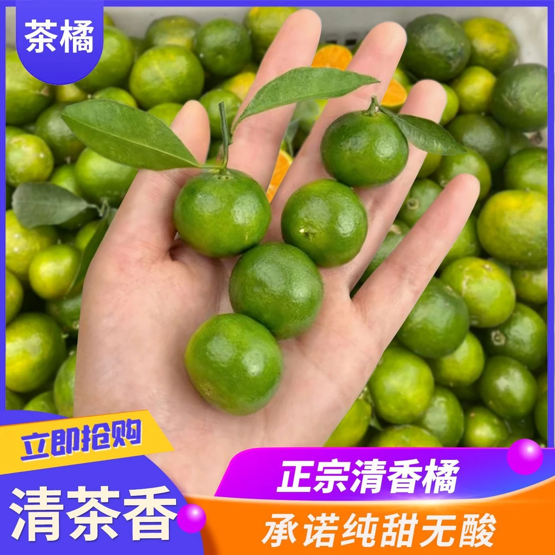 湘西本地头茬露天小青柑