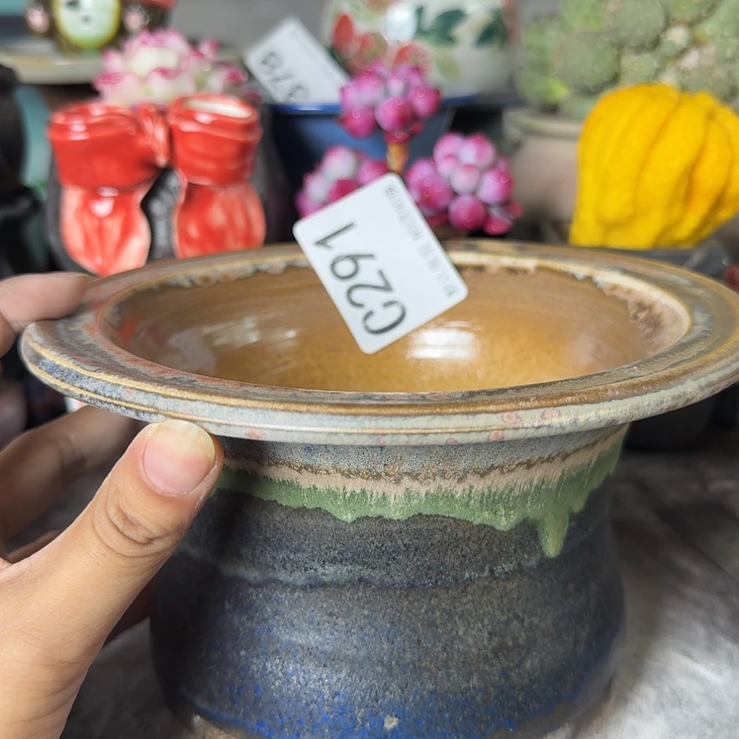 重庆小燕子欢迎大家291