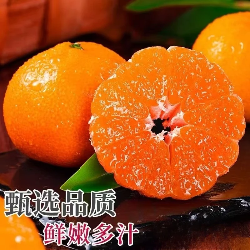 源头直采新鲜当季临海涌泉蜜桔皮薄无籽无核水果现摘现发1
