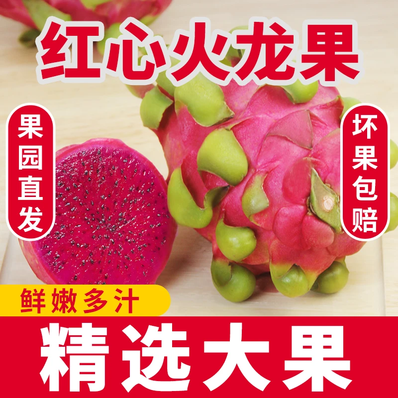 满季福新鲜红心火龙果越南进口果园直供热带水果甜蜜多汁现摘现发