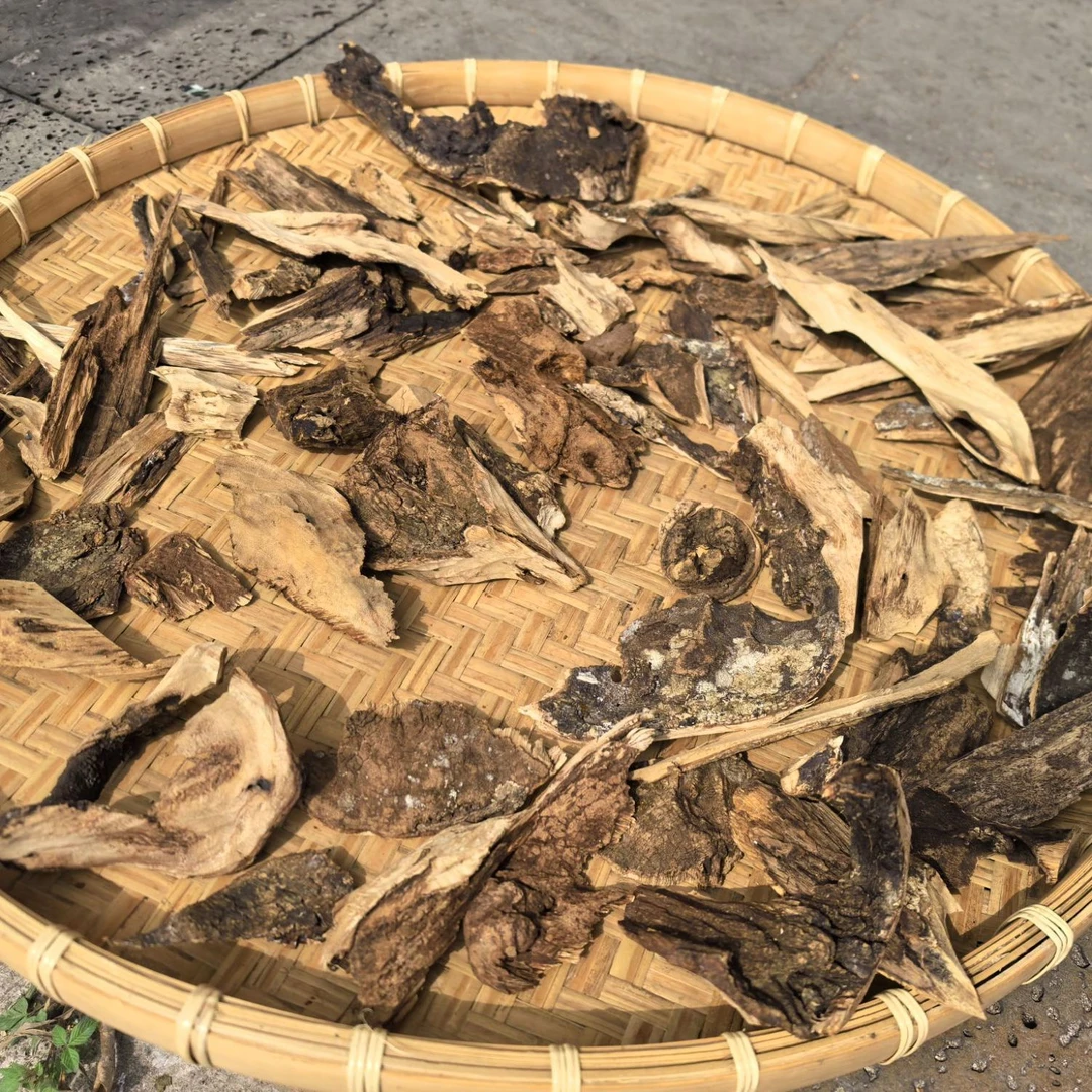 根雕木雕工艺天然制品多样性发一