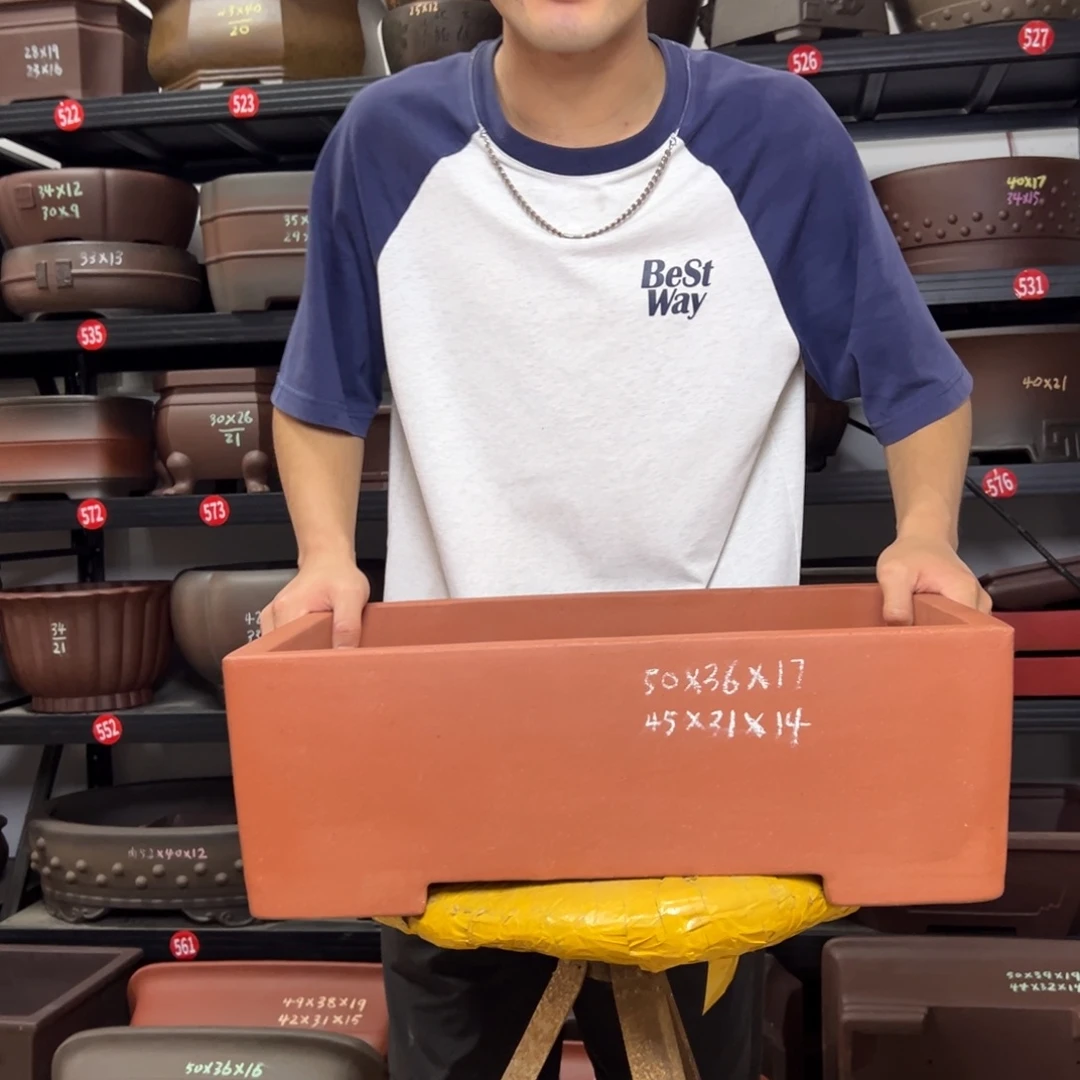 紫砂花盆呜呜呜呜