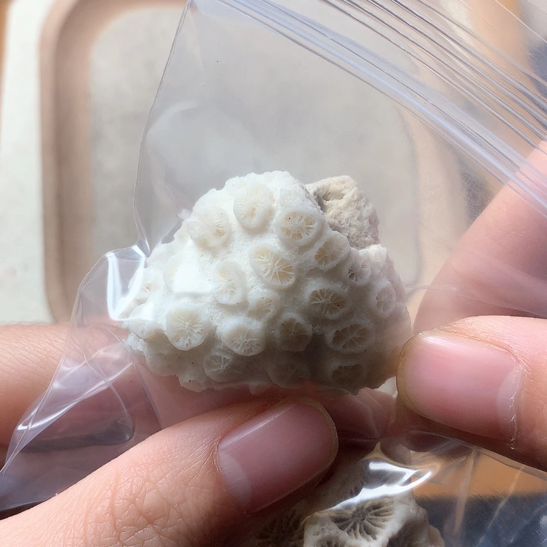 石英质玉颈饰未镶嵌莫*