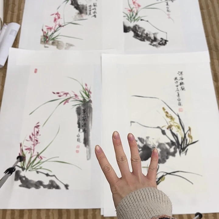 国画用****1花鸟的翅膀和翅膀是白色