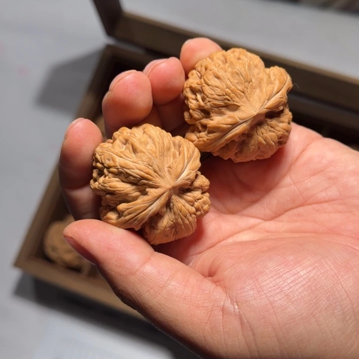 文玩核桃把件1023号全品红锦鲤40mm以上