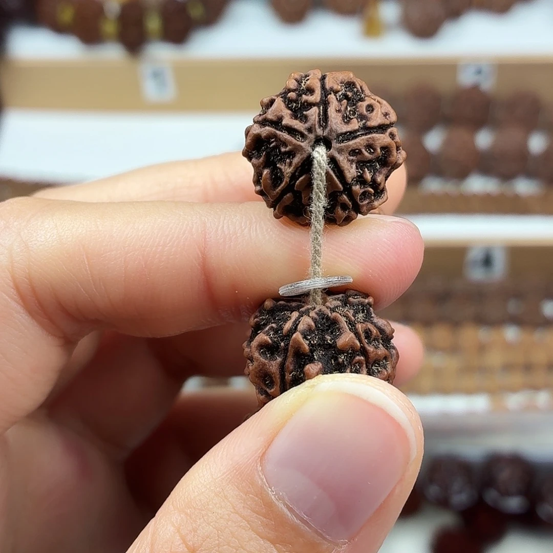 金刚菩提手串稀有精品梅花飞碟蜂窝双龙