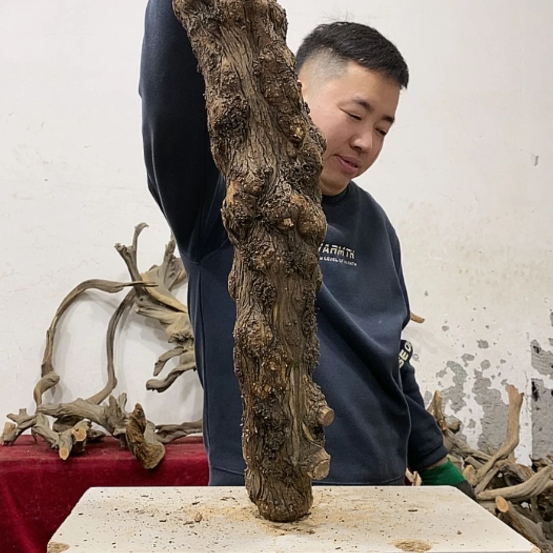 【闪购商品】柏木盛****生我们都是好孩子