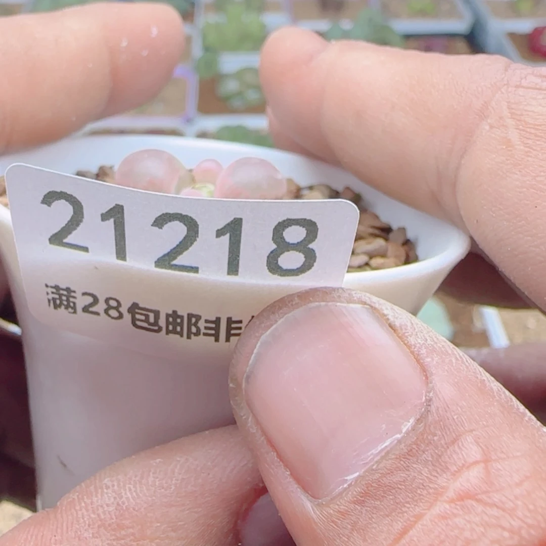 【闪购商品】M****.21218