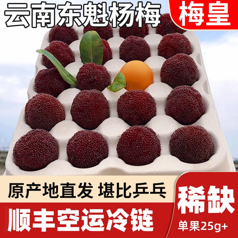 稀缺杨梅皇顺丰现摘现发云南东魁杨梅25g+新鲜现摘水果汁多礼盒装