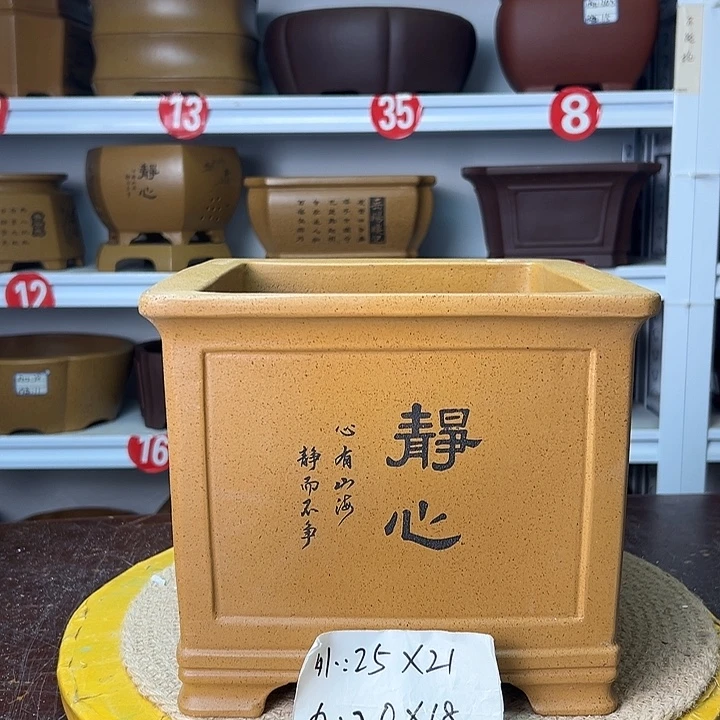 紫砂花盆你在一起