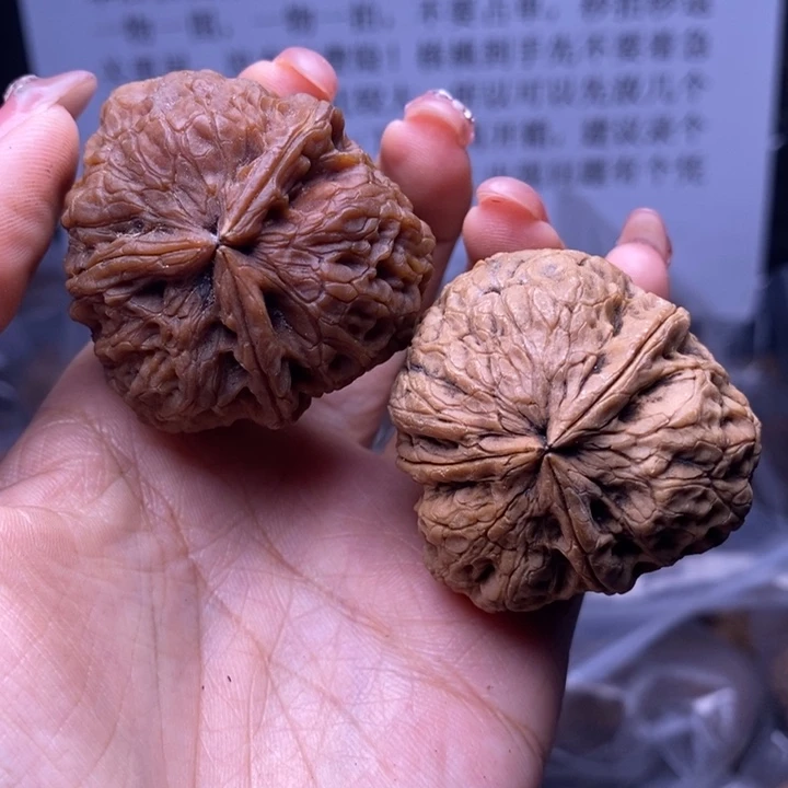 积***木核桃云南野生铁核桃130号43mm