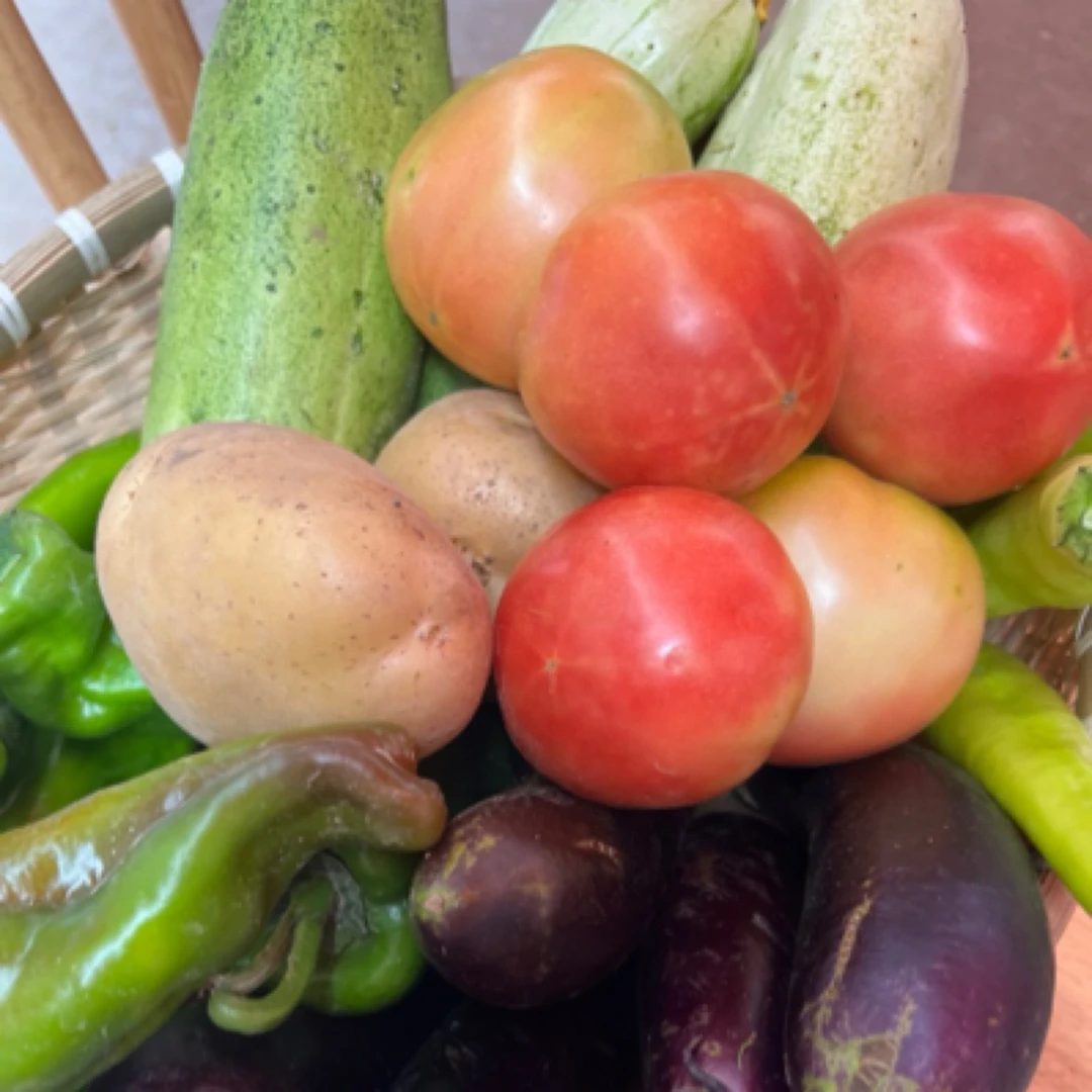 【松影家小菜园】（番茄不接受备注）小菜园自种番茄瓜果蔬菜自然成熟