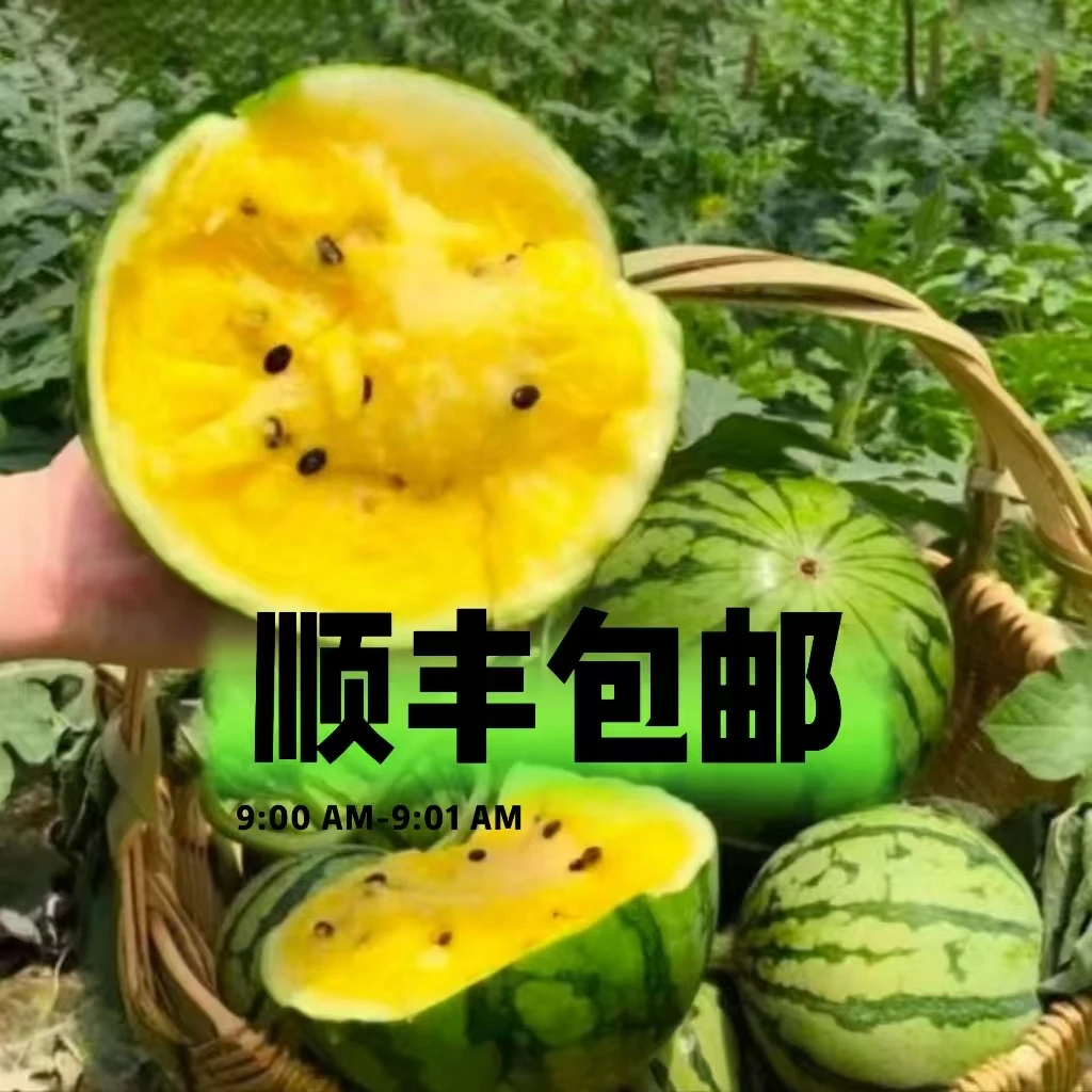 【优选顺丰】现摘特小凤黄心西瓜新鲜薄皮黄肉当季水果冰淇淋黄瓤