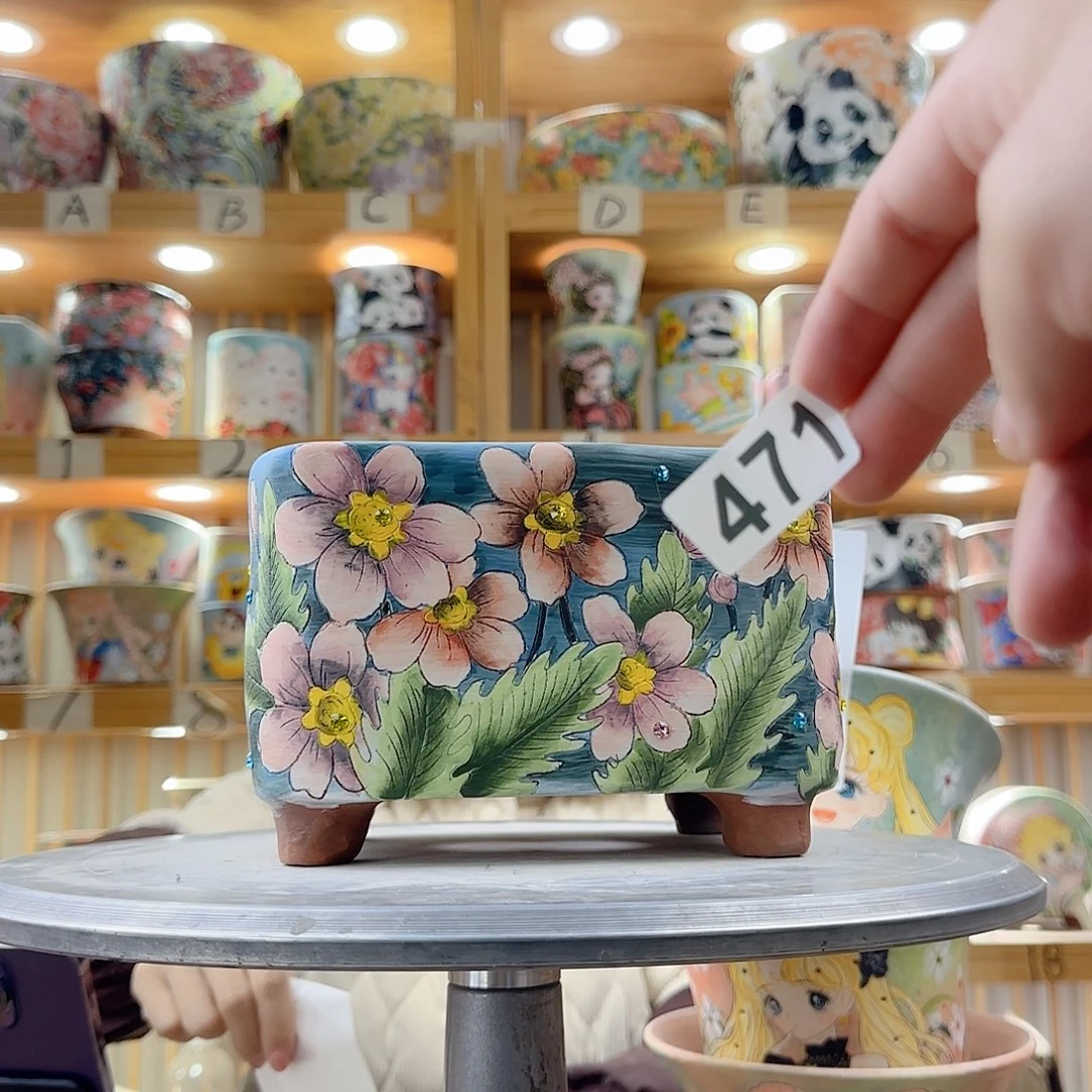 瓷片皓*x c x c x c x c