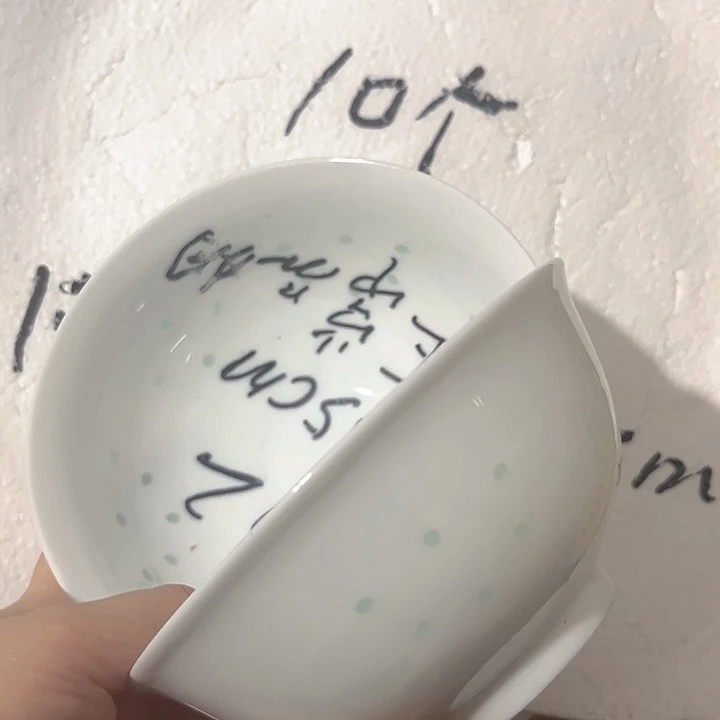 瓷片景德镇高温细白瓷餐具10只