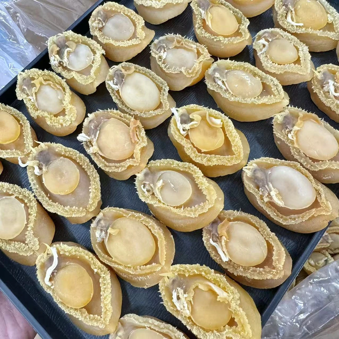 25头大连鲍鱼 A鲍