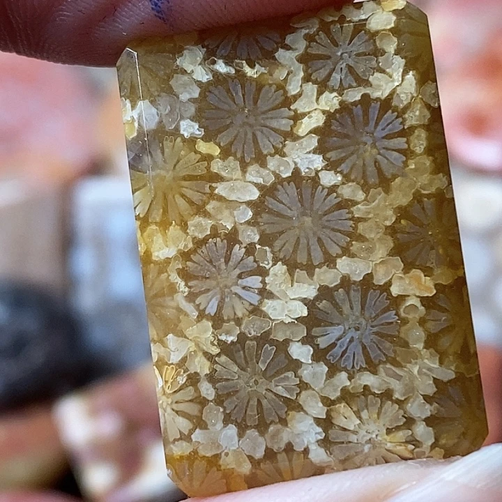 福***庆硅化玉未镶嵌吊坠