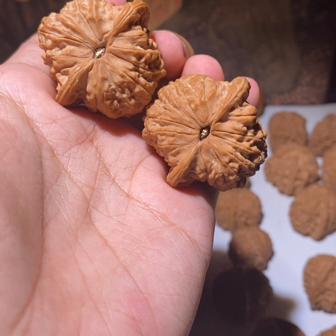 文玩核桃把件40全品血麒麟