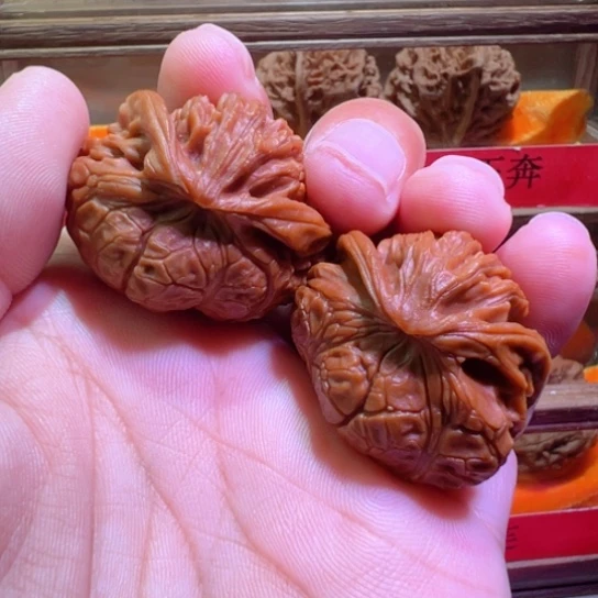 宫灯正勾蟒蛇36边土豪级