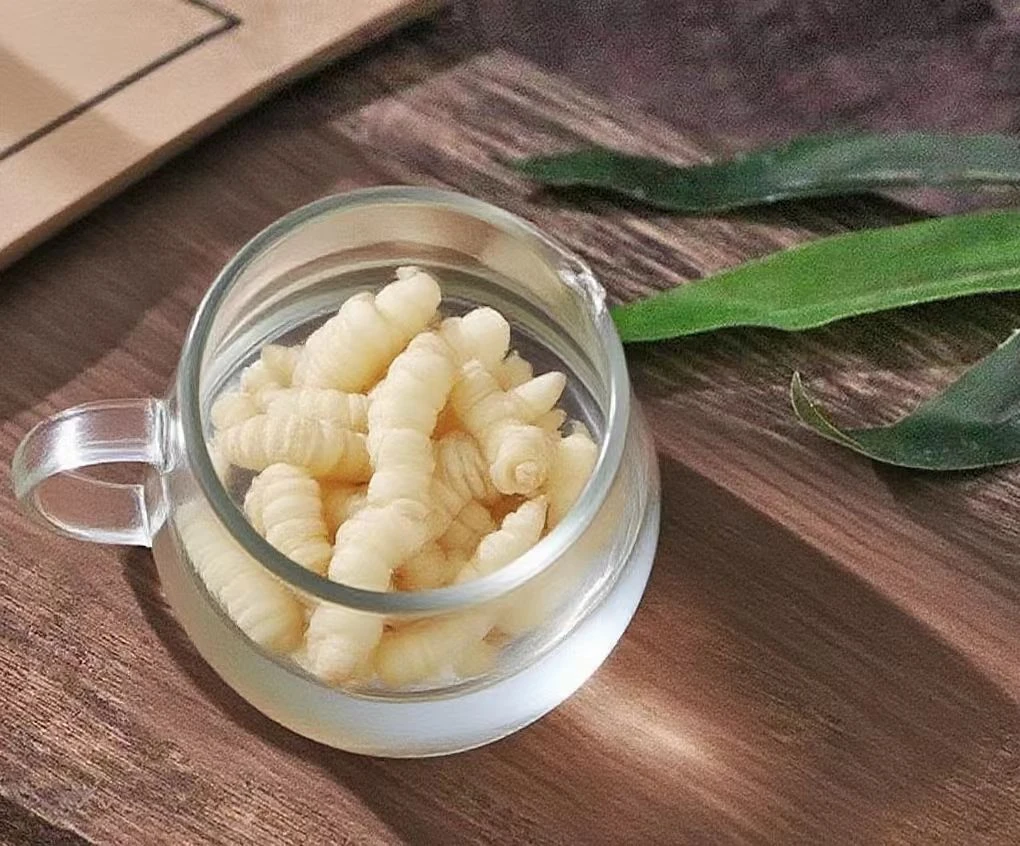 甄选优品【金虫草】珍藏500g  小羊专属1