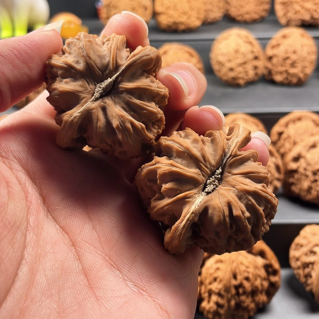 吊坠文玩核桃用****6潮。白狮子