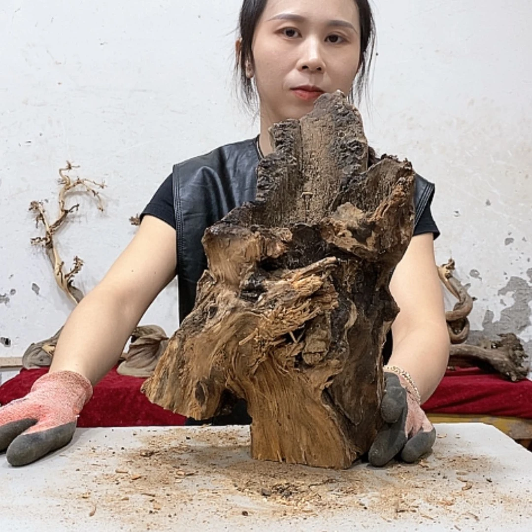 【闪购商品】柏木果*福我们都是好孩子
