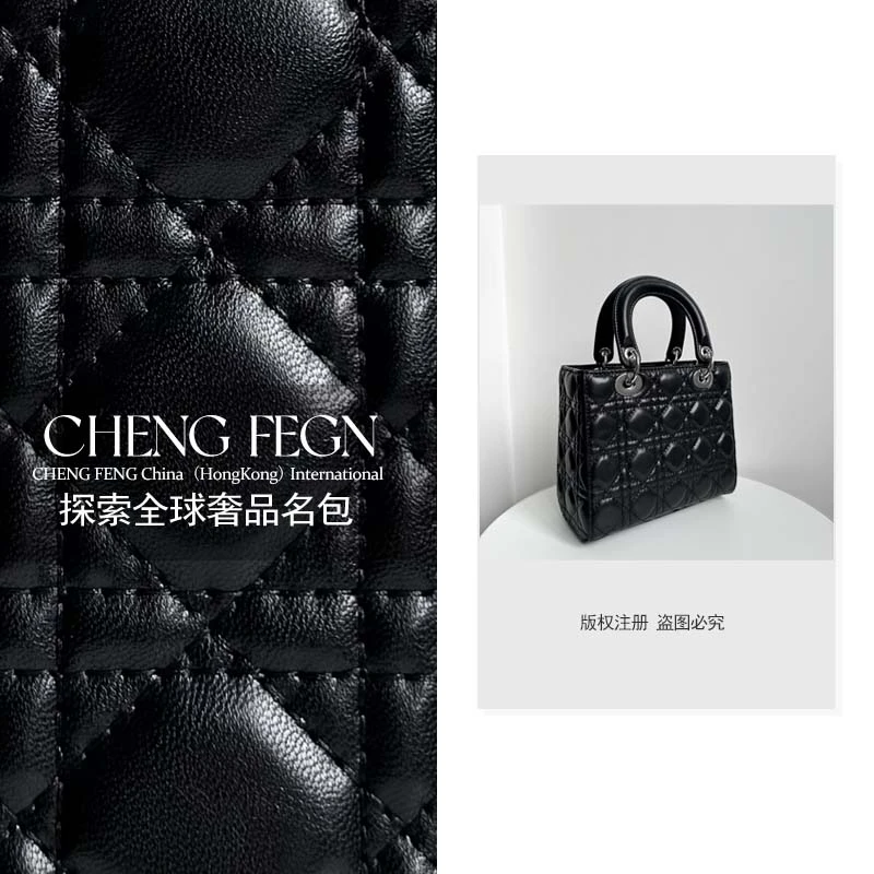 A258乘风· 新款时尚百搭女包【黑色银扣-五格戴妃】