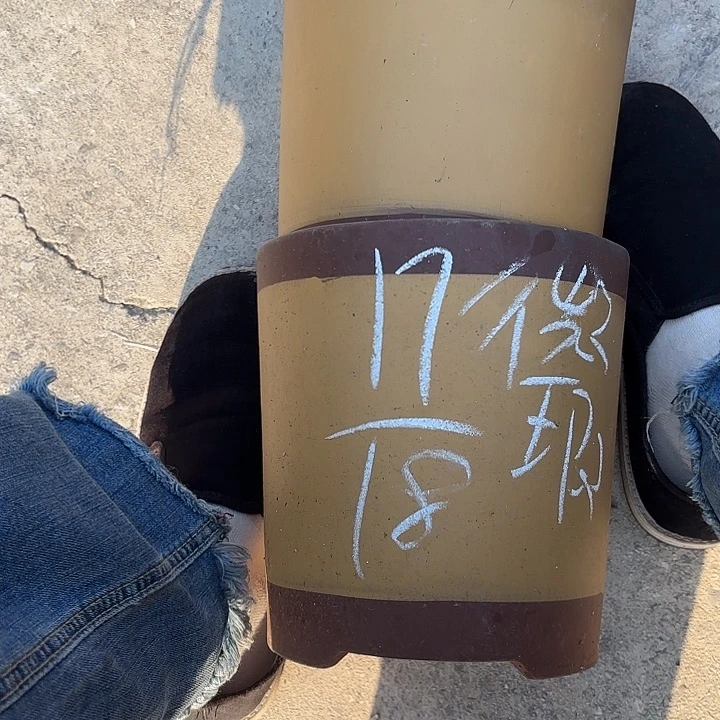 紫泥花盆紫砂花盆