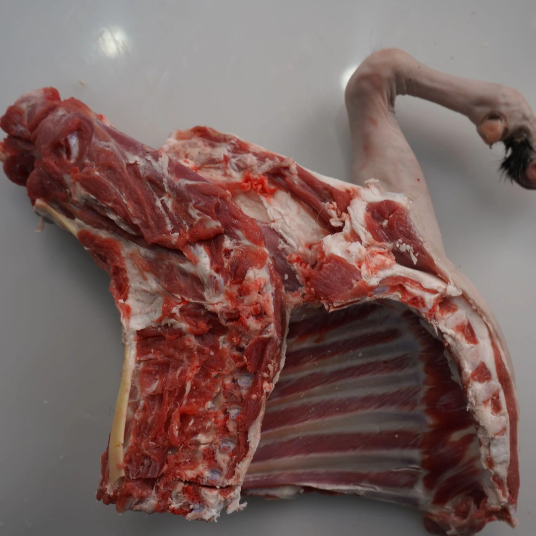 〔正宗黑山羊〕吕梁散养黑山羊前腿带排带脖子 直播专属