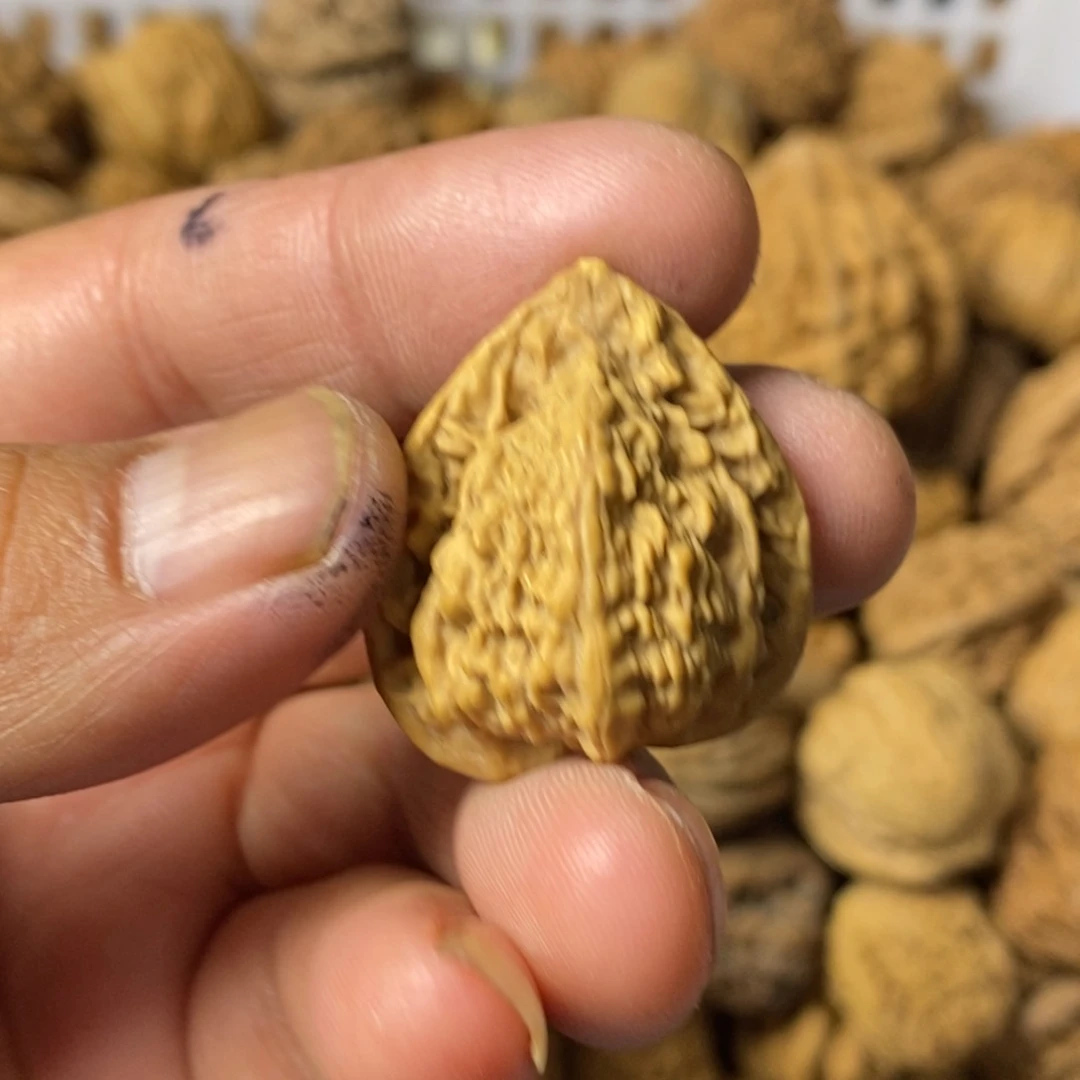 老***、大叶紫檀（黑酸枝木类）