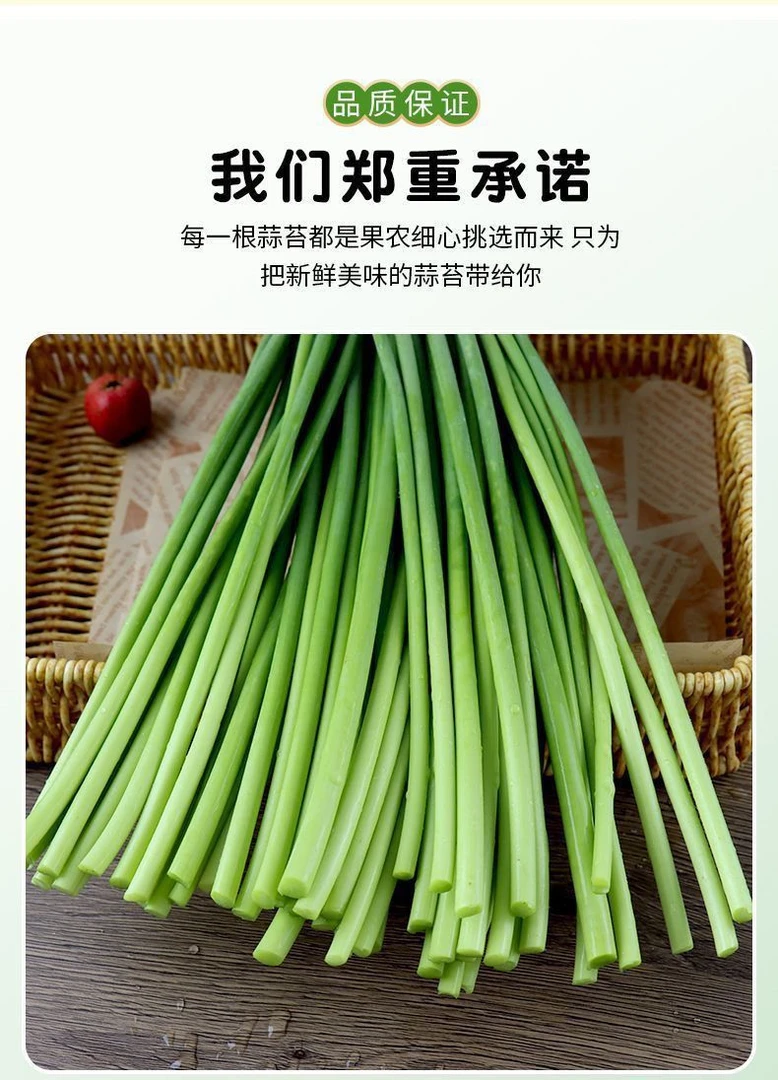 蒜苔新鲜现摘蒜苔红帽自种蒜苔新鲜蒜有机新鲜蒜薹当季蒜苔