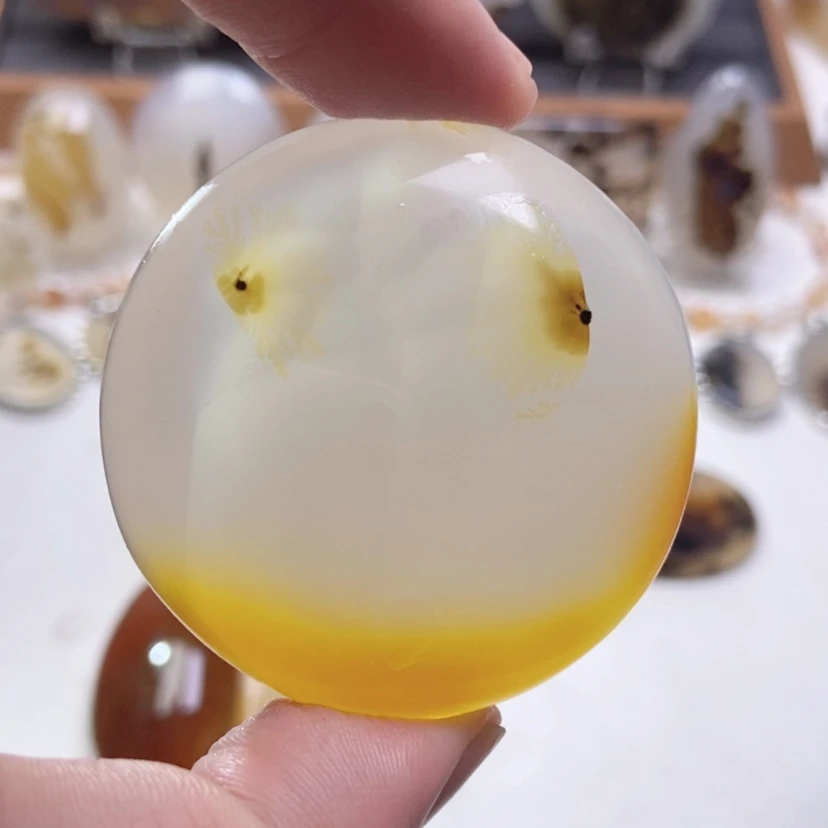 【闪购商品】玛瑙/玉髓颈饰未镶嵌