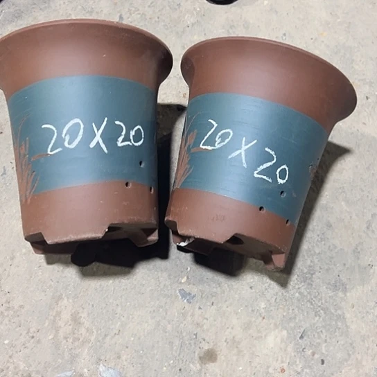 紫砂工艺厂……紫砂工艺厂……