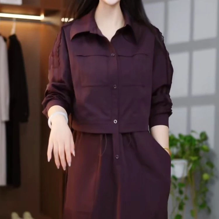 春季气质简约新款百搭时尚减龄收腰连衣裙洋气长袖小个子宽松