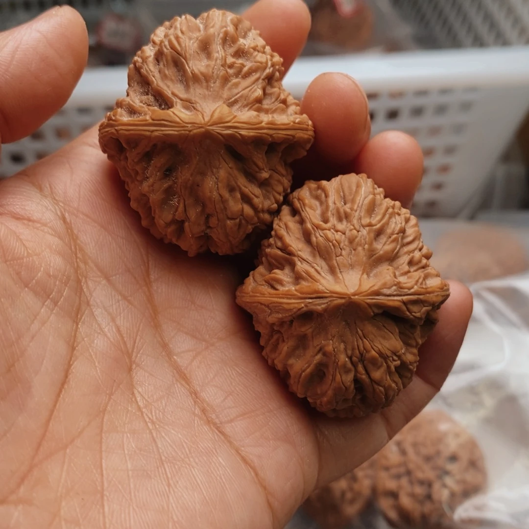 文玩核桃把件九月元宝41尺