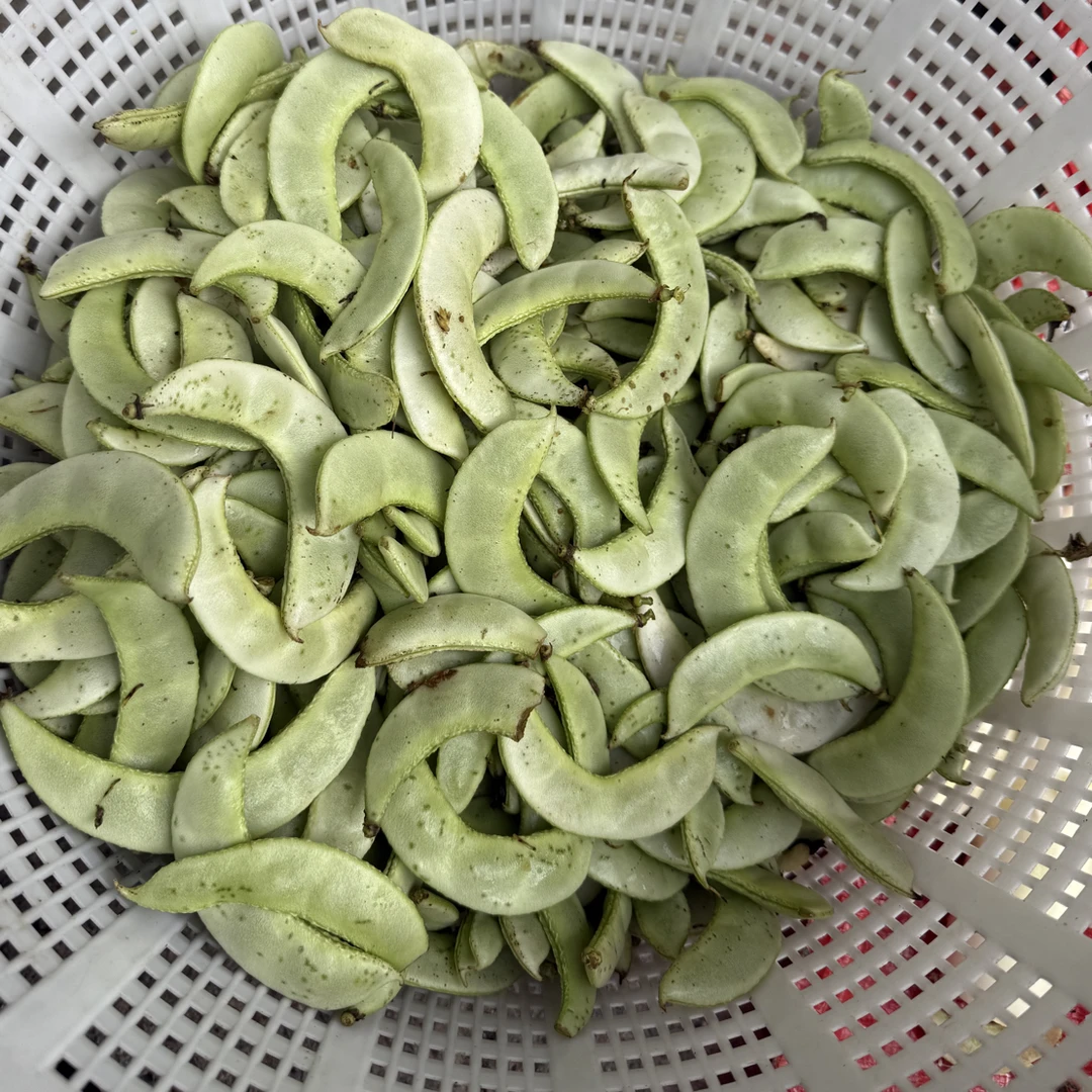 农家自种新鲜峨眉豆老品种鹅米豆现摘应季农家菜