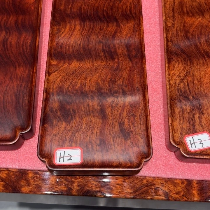 古夷苏木掌*界H2干泡盘