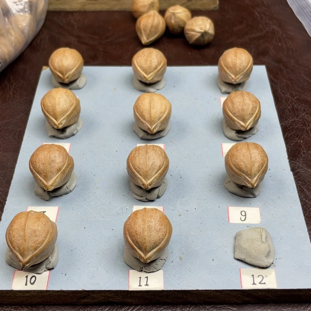 手串/手链橄榄核先***晨20.26梅林铁