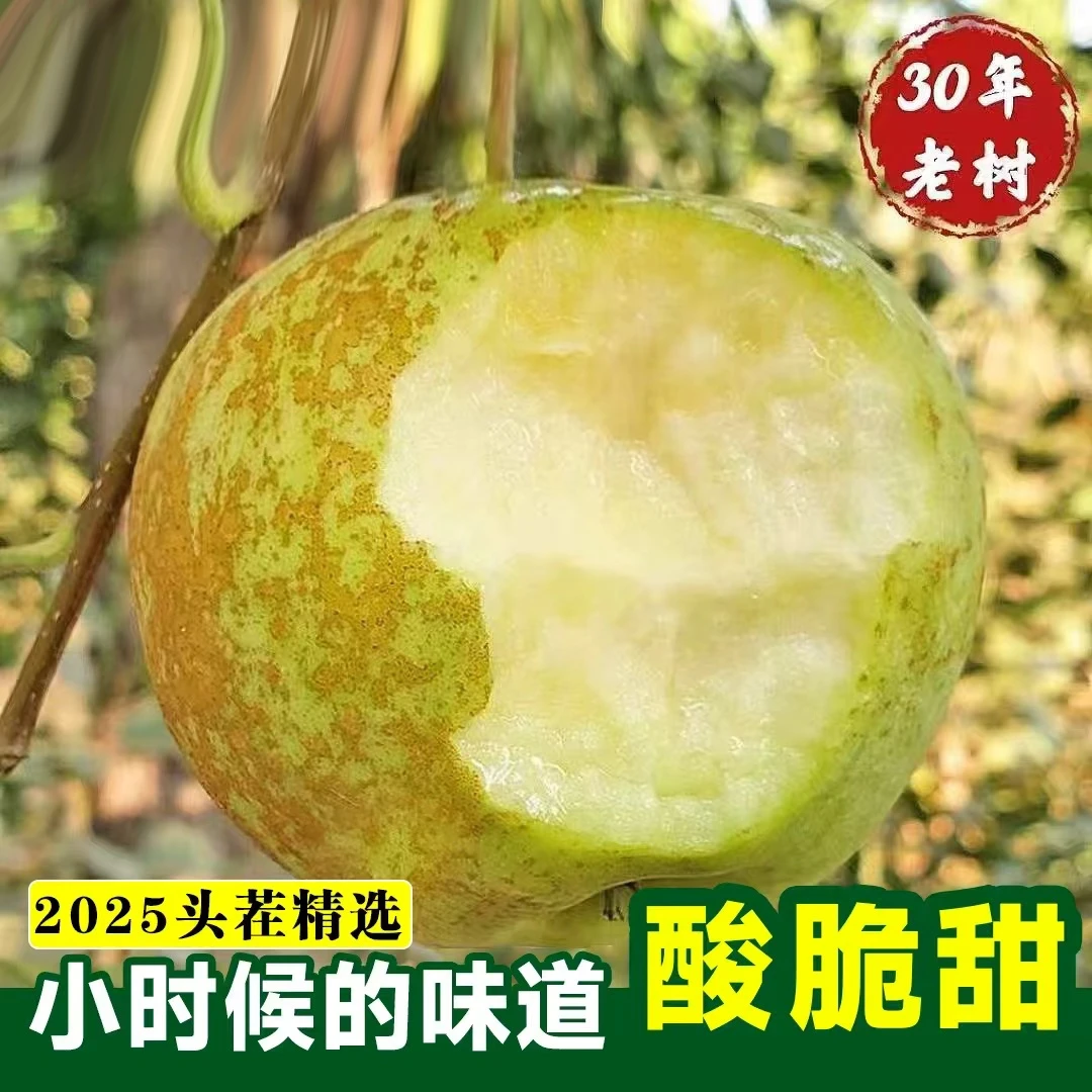 【小时候的味道】正宗金帅苹果酸甜苹果2斤/4.5斤/8斤江苏省
