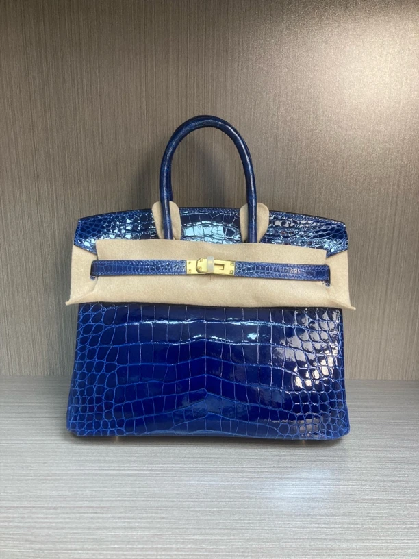 稀有皮进口尼罗鳄高光铂金BK25手工制作手提女包经典款时尚女包包