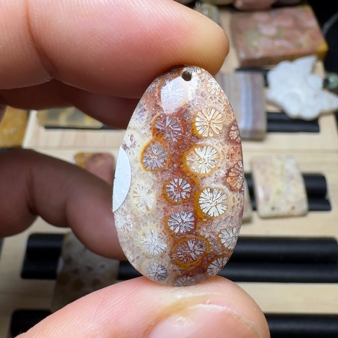 未镶嵌纯天然色有机玉石保真色硅化玉